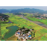 新时代改革关键词④：建设美丽中国