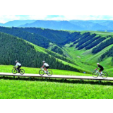 好评中国丨“绿潮”之下，青年正在重写生活新算法