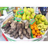 锚定“四大法则”，激活湖湘农业动能