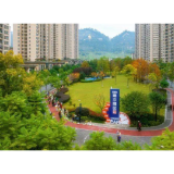 好评中国丨潮汐摊位：现代城市治理的良性循环