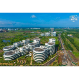 好评中国丨从烂尾楼到新高地, 海南岛“长”出了什么