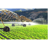 “种田”改“建田”，关键是激发土地的生产力