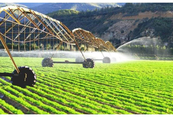 “种田”改“建田”，关键是激发土地的生产力