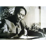 规避教条主义,不妨看看“毛选”“怎么办”