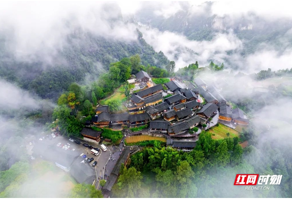陈献春：运用场景创新方法论推动特色产业高质量发展