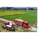 好评中国丨让科技扎根泥土，让乡村插上“翅膀”