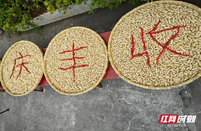 微信图片_20250922085746_162_303.png