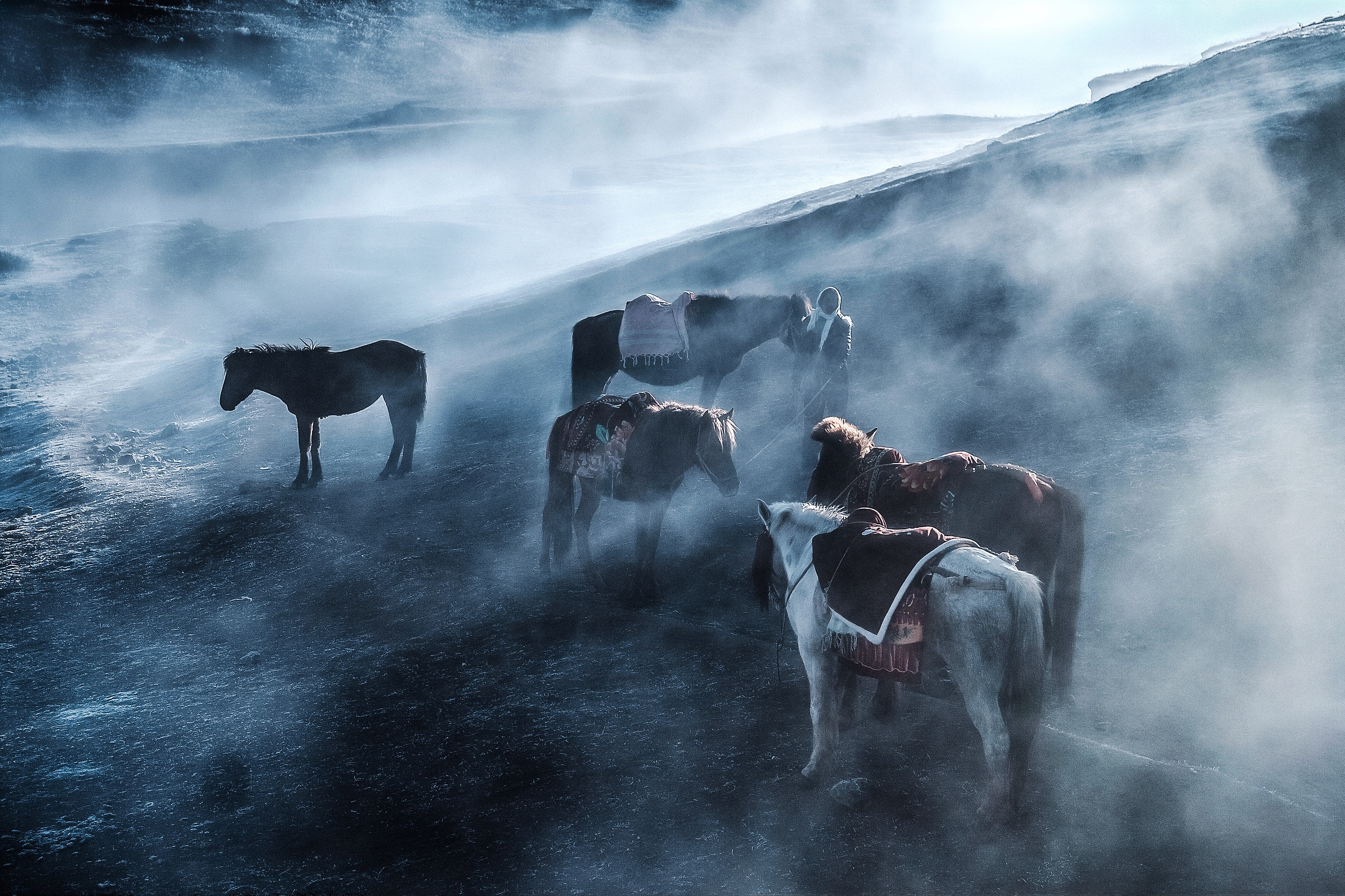 晨雾古道.jpg 晨雾古道.jpg