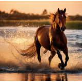 策马三章②:马踏千年,寻找文明的光影