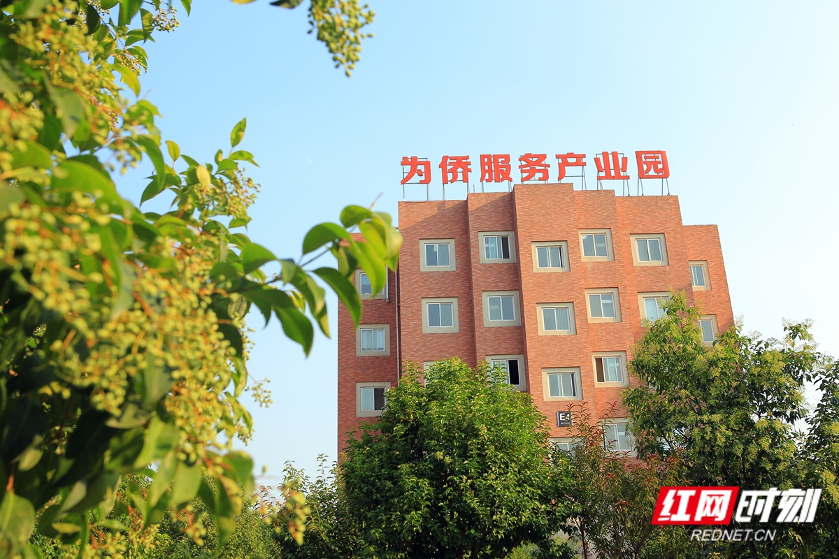 微信图片_20261028171933_10_101_副本.jpg 微信图片_20261028171933_10_101_副本.jpg