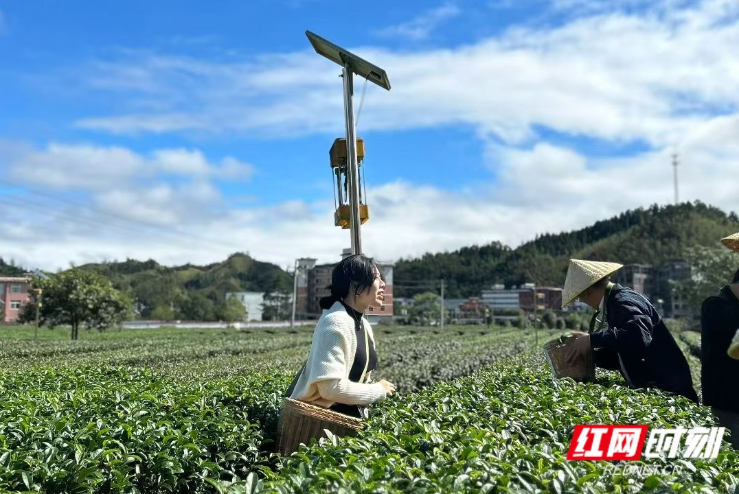 微信图片_20260818110255_21_17_副本.jpg 微信图片_20260818110255_21_17_副本.jpg