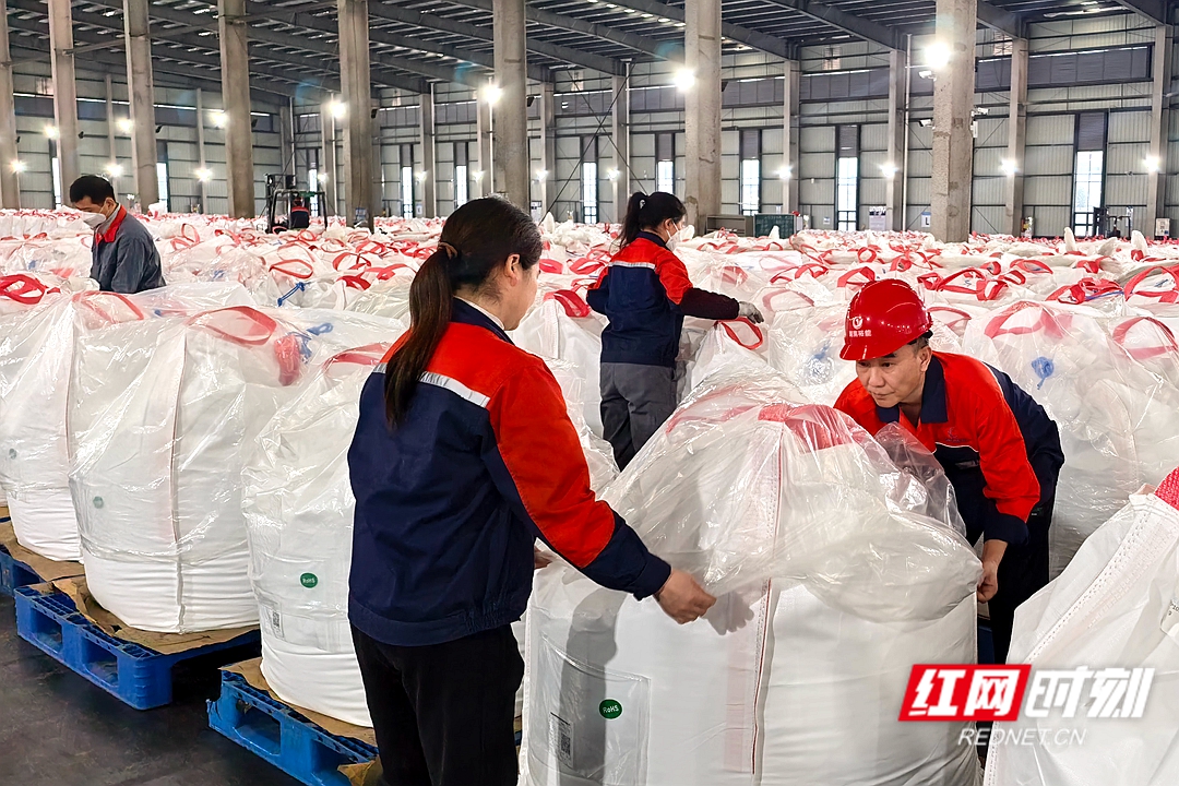 微信图片_20260219195317_358_5.jpg 微信图片_20260219195317_358_5.jpg