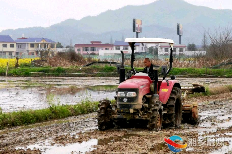 湘乡：种粮大户春耕忙 抢抓农时忙育秧