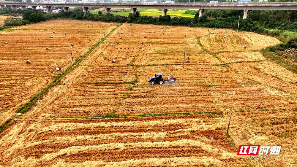 湘潭县秸秆利用实现“绿色新生”.png