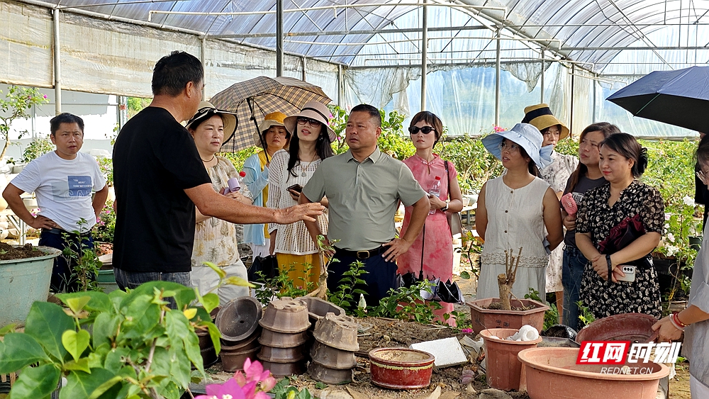 微信图片_20250804162724.jpg