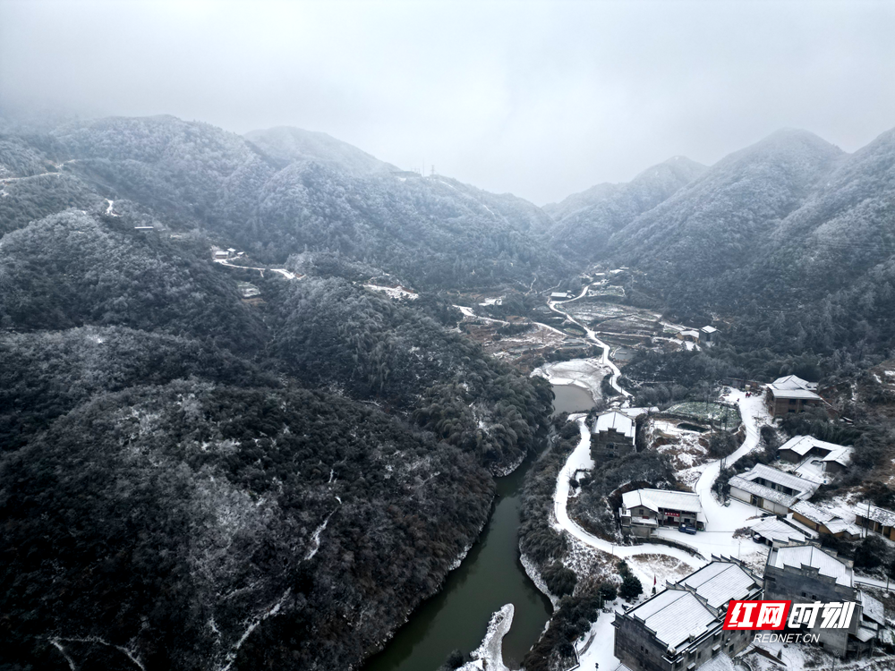 图片6.png 图片6.png