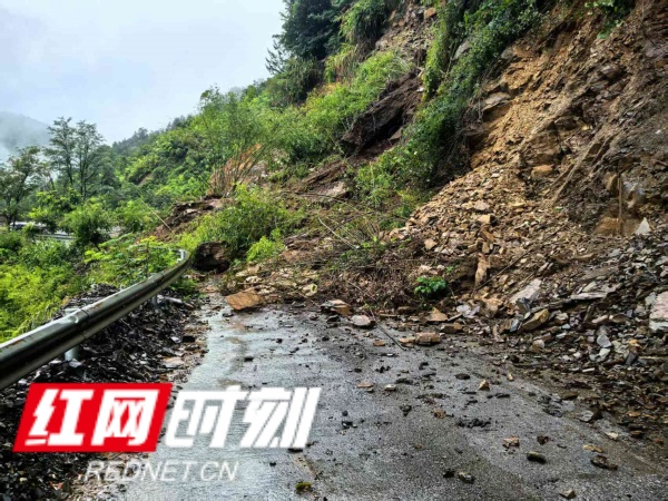 图片1加水印.jpg