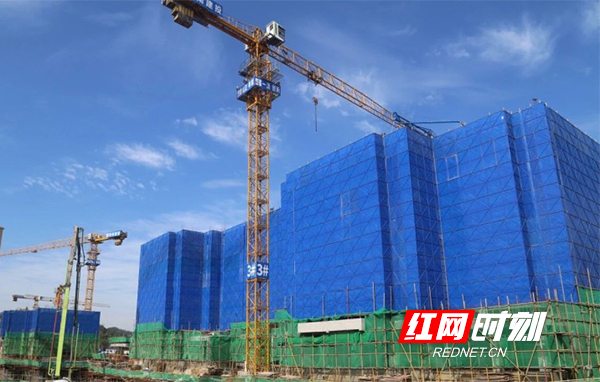 69901763521924_.pic.jpg 69901763521924_.pic.jpg