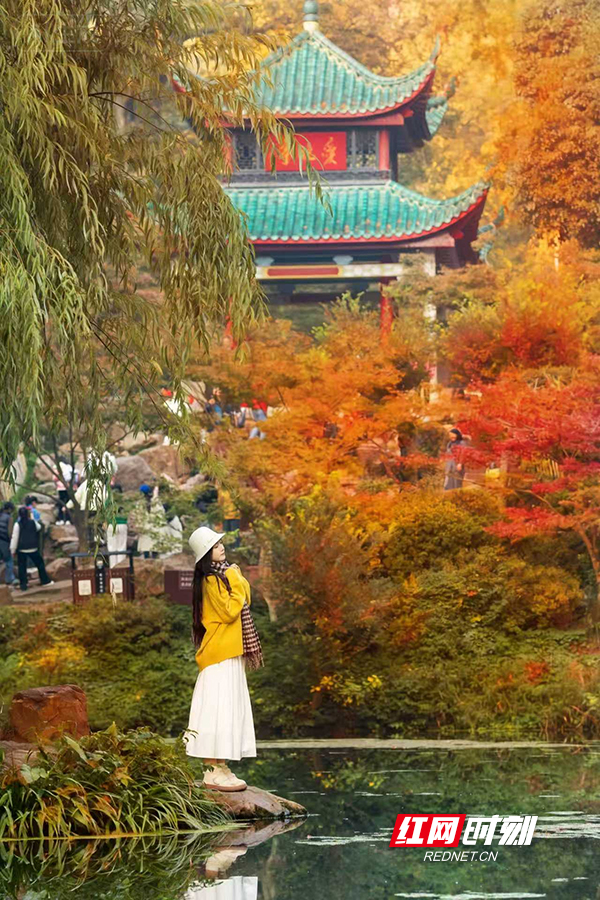 图片1.jpg 图片1.jpg