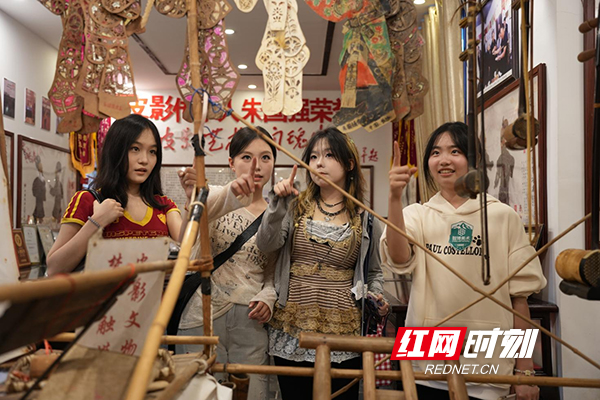 图片8.jpg 图片8.jpg