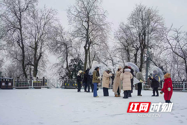 3881768979528_.pic.jpg 3881768979528_.pic.jpg