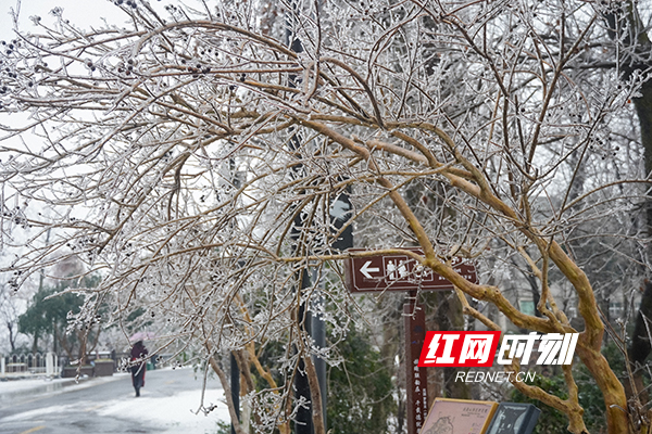 3911768979530_.pic_hd.jpg 3911768979530_.pic_hd.jpg