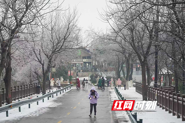 3941768979531_.pic.jpg 3941768979531_.pic.jpg