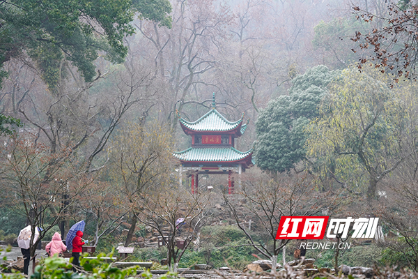 4181768981735_.pic_hd.jpg 4181768981735_.pic_hd.jpg