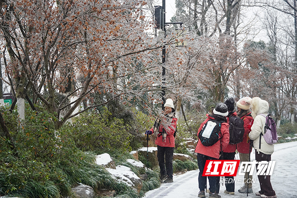 3871768979527_.pic_hd.jpg 3871768979527_.pic_hd.jpg