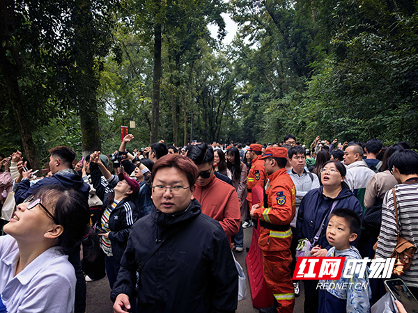 图片3.jpg