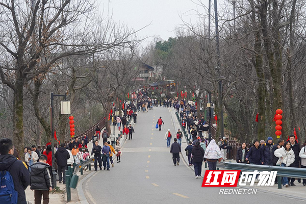 图片5.jpg 图片5.jpg