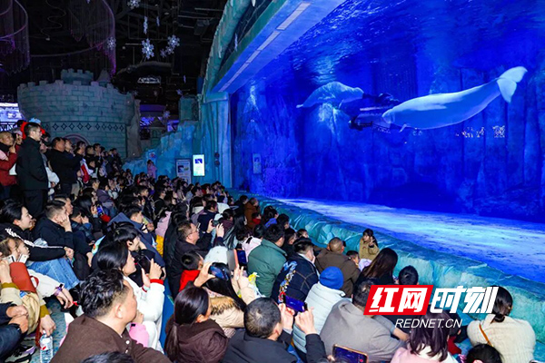 7502195fdf11792cac2791b24a201fb0.jpg 7502195fdf11792cac2791b24a201fb0.jpg