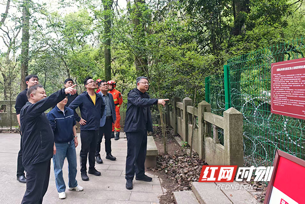 3511775435025_.pic.jpg 3511775435025_.pic.jpg