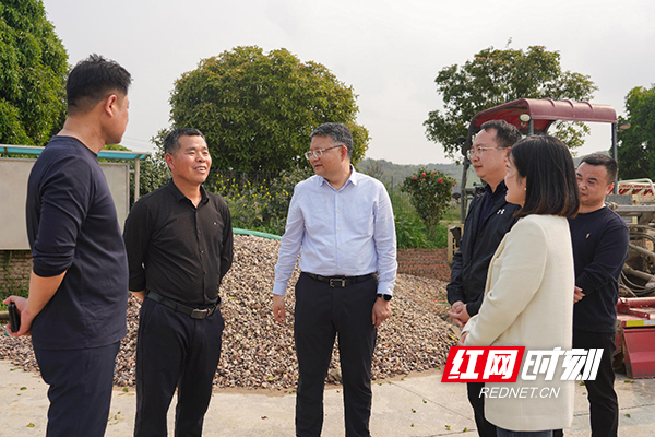 3611775694798_.pic.jpg 3611775694798_.pic.jpg