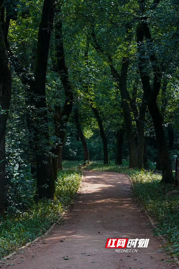 78921781771259_.pic.jpg 78921781771259_.pic.jpg