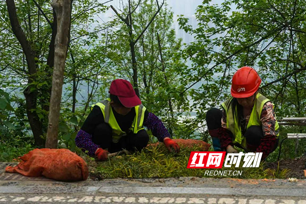 图11片1.jpg