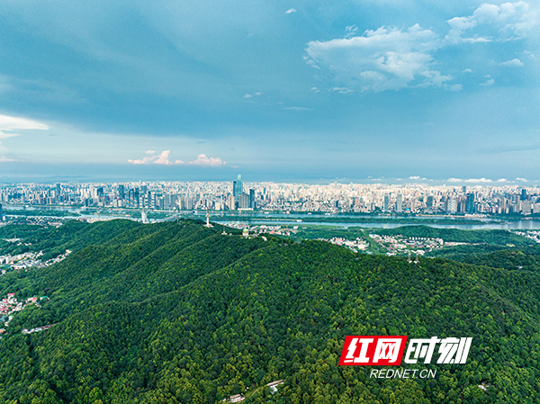 图片61.jpg