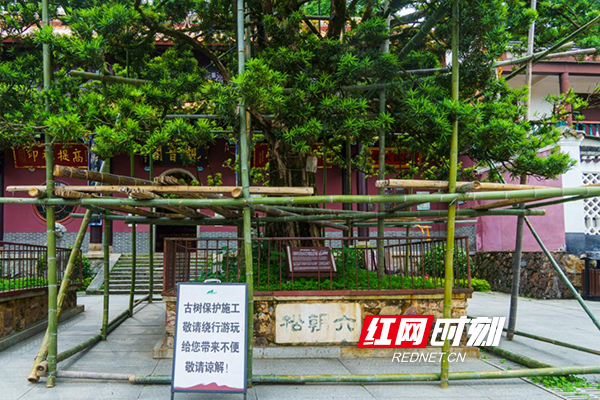 图片41.jpg