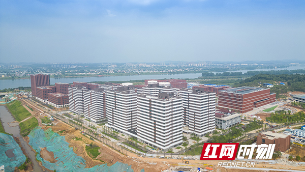 湘江科学城 滕维 拍摄时间6月29 (7).jpg