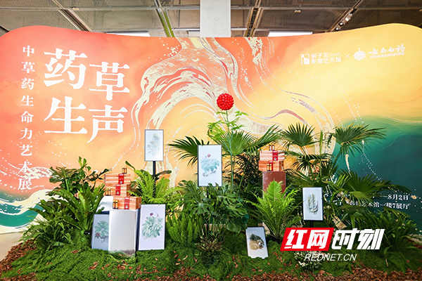 JF3A6634-opq4849651836副本.jpg JF3A6634-opq4849651836副本.jpg
