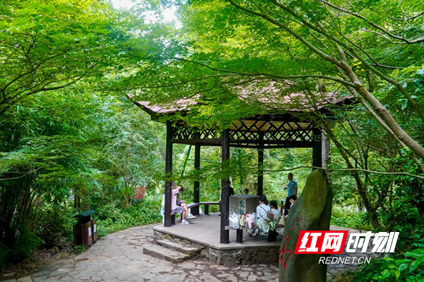图片1.jpg 图片1.jpg