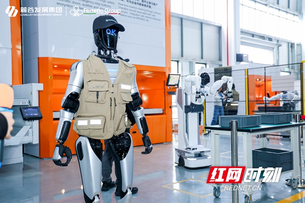 弗兰度2.jpg 弗兰度2.jpg