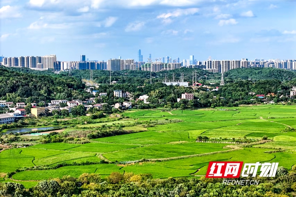 微信图片_2025-08-29_114038_078_副本.jpg