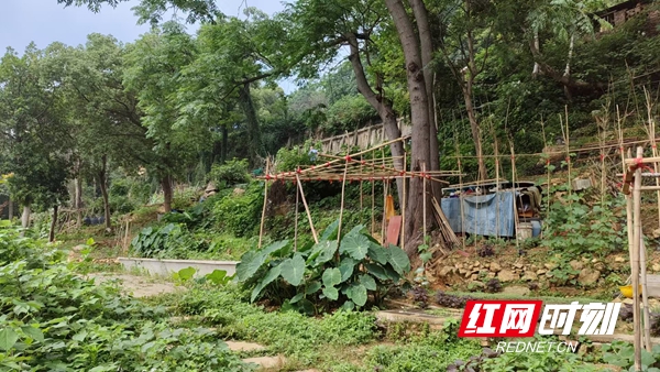 微信图片_20260608135409_51_1093.jpg 微信图片_20260608135409_51_1093.jpg
