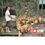 村村向上·桃江② | 大华村：迈向小康的“样板贫困村”