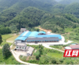 村村向上·桃江① | 益阳仑村：“挖”出深山脱贫路
