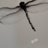 寥寥几笔画出生动蜻蜓