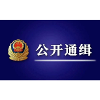 公安机关公开通缉100名电信网络诈骗犯罪在逃金主和骨干人员