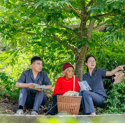 三湘大地“生态绿”，司法全力守护