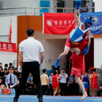 湖南省第三届学校散打教学交流赛圆满落幕